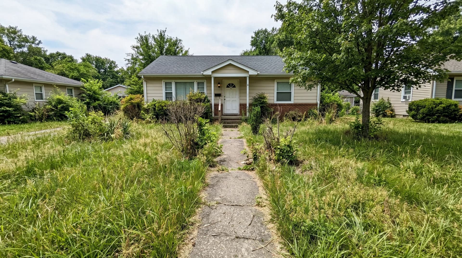 Original landscaping photo